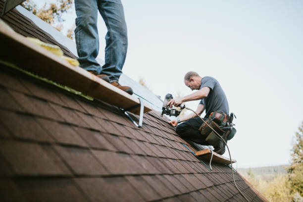 Best Residential Roofing Contractor  in San Carlos Park, FL